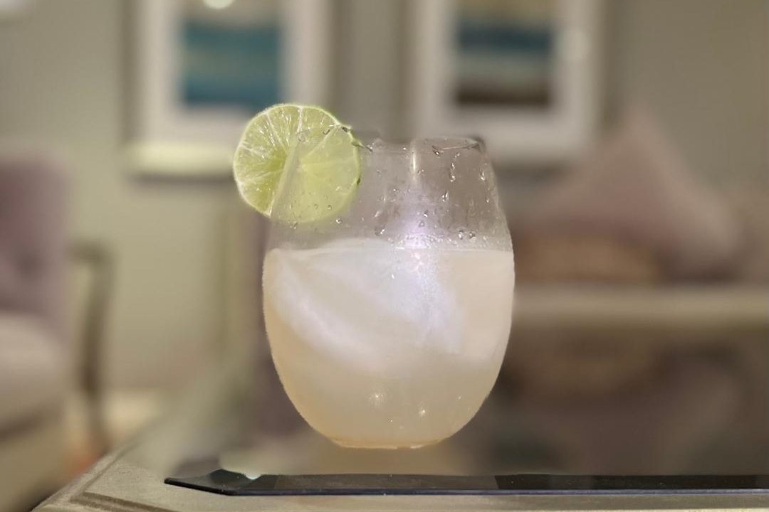 Gin & Tonic – Monica Mixes
